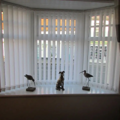The Southgate Bed And Breakfast thumbnail 18