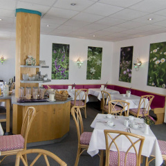 Hotel Alpha - Bild 11