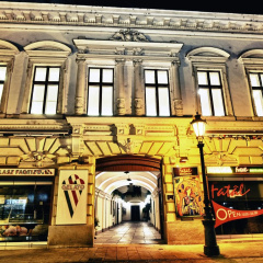 Lion Premium Hotel - Bild 1
