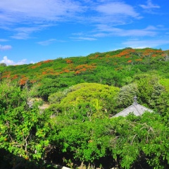 Padma Pandawa Villa - Bild 17