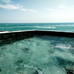 rock n reef - Bild 2
