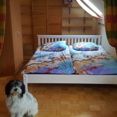 Home Away From Home - Close to Bremen City - Bild 5