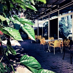 Otel Star Palace - Bild 11