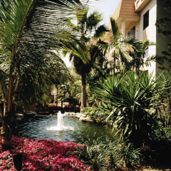 Club Wyndham Sea Gardens thumbnail 26