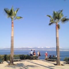 3 Dormitorios ,son Veri Nou ,vistas Mar - Bild 11