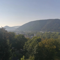 Ferienwohnung am Weinberg - Bild 8