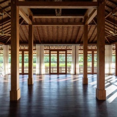 The Asa Maia - Bild 8