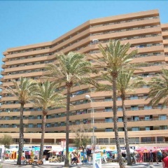Pil Lari Playa - Bild 8