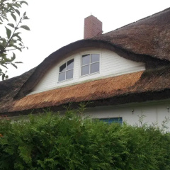 Reethaus Zickersche Berge - Apt. 01 thumbnail 12