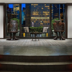 Royalton New York - Bild 21