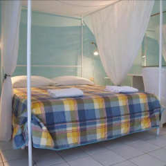 Tenuta Terenzano thumbnail 18