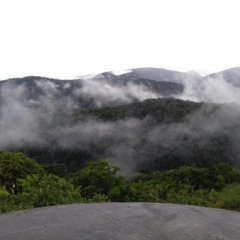 Matthew's Miracle View in Massacre, Dominica from 63$, photos, reviews - zenhotels.com balcony