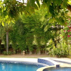 Sunset Villa - Bild 3