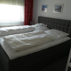 Strandperle - Bild 6