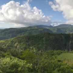 Matthew's Miracle View in Massacre, Dominica from 63$, photos, reviews - zenhotels.com photo 3