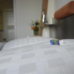 Hotel Motorsport Arena - Bild 3