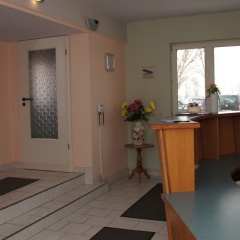 Am Flugplatz Magdeburg - Bild 12