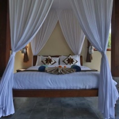 Bali Ubud Villa View - Bild 2