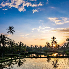 Hati Padi Cottages thumbnail 35