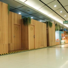 Boxtel at Suvarnabhumi Airport - Bild 17