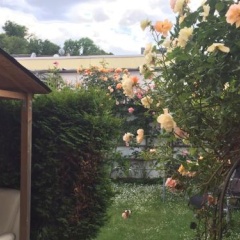 A&S Ferienwohnungen - Bild 13