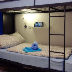 The Penny Pincher Inn - Hostel thumbnail 6