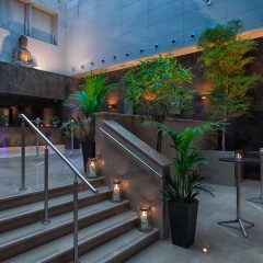 The May Fair, A Radisson Collection Hotel, Mayfair London - Bild 29
