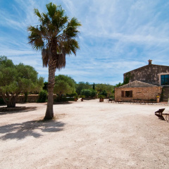 Finca es Rafal Roig - es Celler - Bild 8