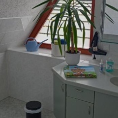 Winzerhaus Rissweg 15 - Bild 7