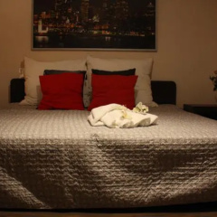 Maple Leaf Apartment thumbnail 6