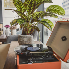 HENRI Hotel Düsseldorf - Bild 2