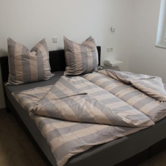 Moselvilla Belle Vue - Bild 1