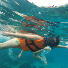 The Tanis Beach Resort Nusa Lembongan - Bild 23