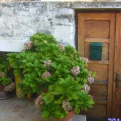 Guest House Sobe Kalocira thumbnail 3