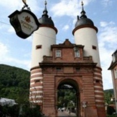 Goldener Hecht - Bild 1