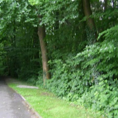 Waldpension Brake - Bild 15