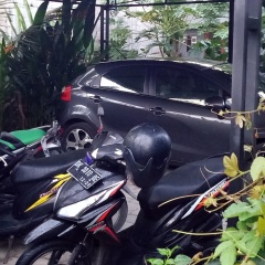 Mulia Home Stay - Bild 14
