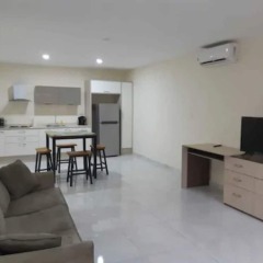 Aruba Airport Zega Apartments in Arikok National Park, Aruba from 315$, photos, reviews - zenhotels.com photo 6