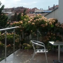 Guest House Lichevi thumbnail 7