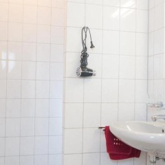 Hirschengarten - Bild 7
