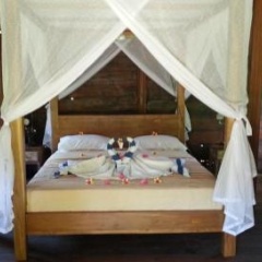 Dune Alaya Yoga Hotel photo 4