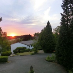 Waldhotel Stein - Bild 13