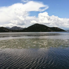 Guesthouse Skadar Lake thumbnail 14