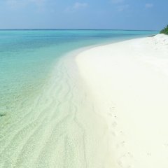 Amazing View in Thoddoo Atoll, Maldives from 102$, photos, reviews - zenhotels.com beach photo 3