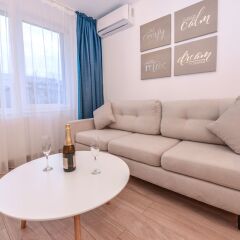 Отель Marina Apartment - Cismigiu Gardens Румыния, Бухарест - отзывы, цены и фото номеров - забронировать отель Marina Apartment - Cismigiu Gardens онлайн фото 7