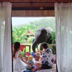 Mai Wang Elephant Homestay in Mae Wang, Thailand from 39$, photos, reviews - zenhotels.com photo 10