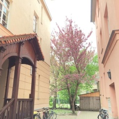 Ferienwohnung in Altstadtnähe - Bild 8
