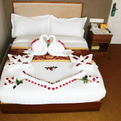 Sunny Holiday Hotel thumbnail 28