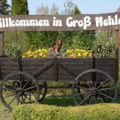 Hotel Garni am Eckernweg - Bild 16