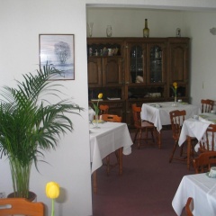 Adler - Bild 13